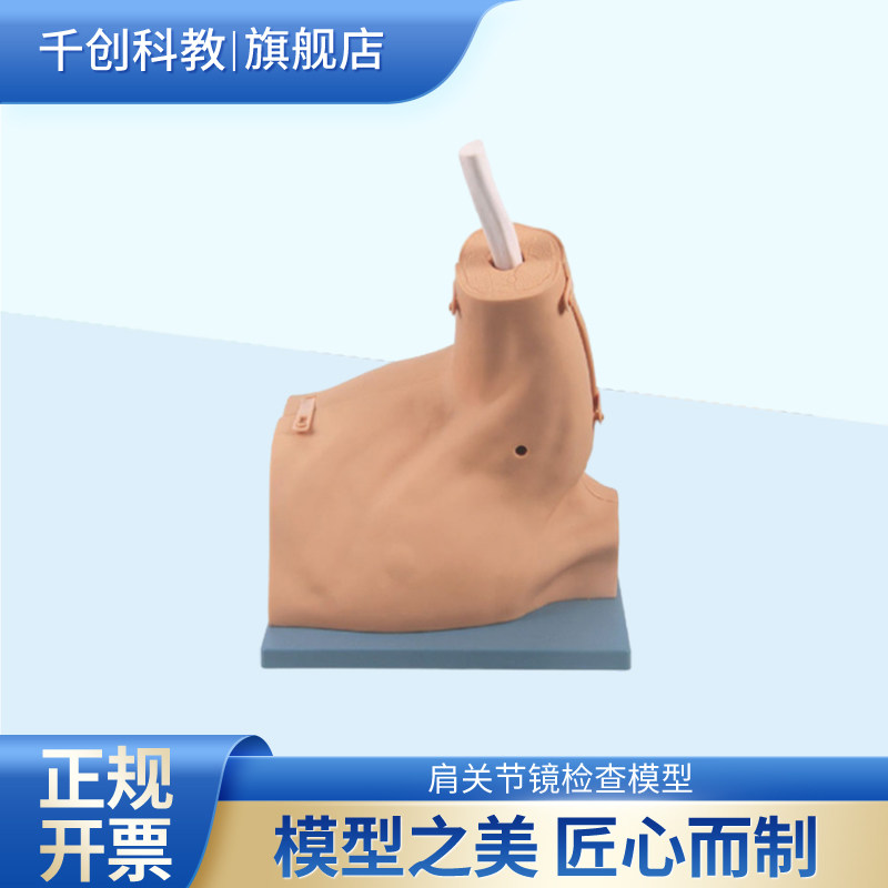 肩关节镜检查模型成人右侧完整韧带关节囊可拆卸用于手术操作练习及功能讲解医学教学训练器材