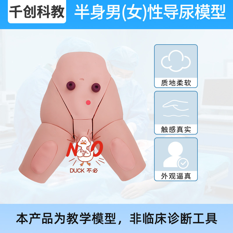 半身男性（女性）导尿训练模型通用真实患者仿真狭窄感粘膜皱襞尿道球体位调整模拟尿液临床教学教具