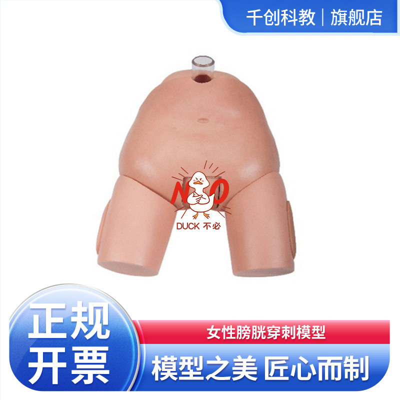 女性膀胱穿刺模型骨性标志尿道口暴露可换膀胱充盈叩诊穿刺落空感阻力逼真反复训练导尿冲洗生理狭窄医学教具