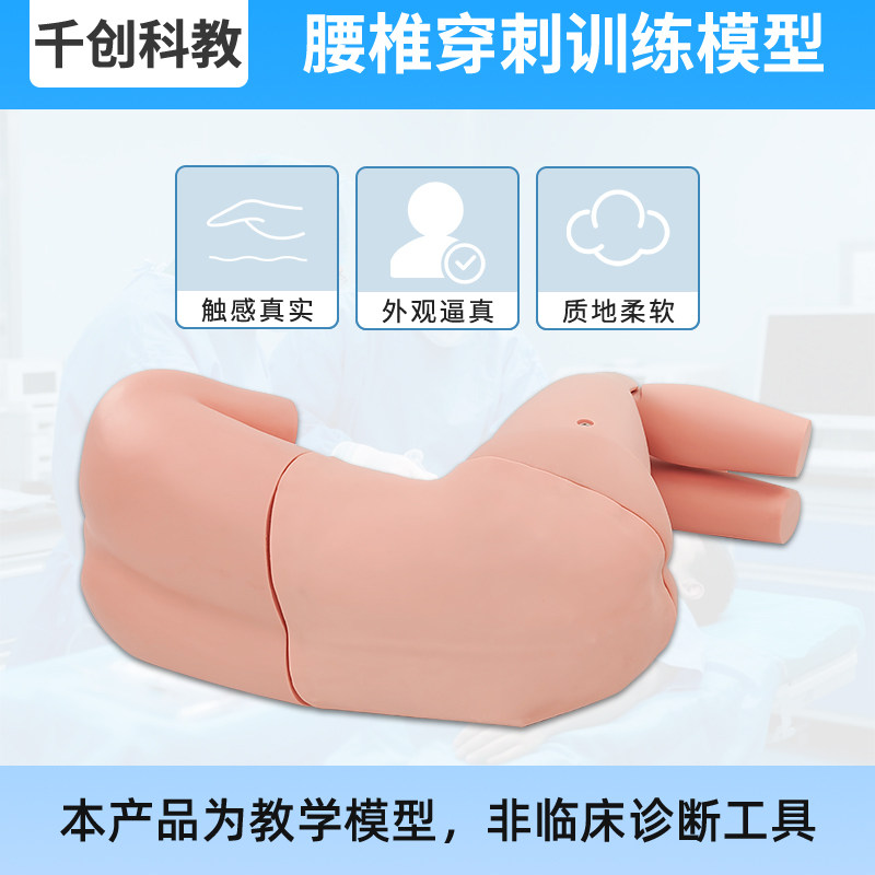 腰椎穿刺训练模型腰麻尾神经