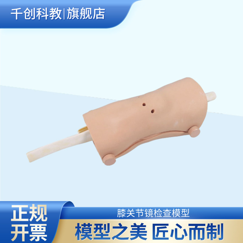 膝关节镜检查模型成人膝部完整解剖结构可固定多种关节镜手术练习可拆装医学教学关节外科训练器材