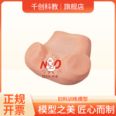 妇科训练模型双合诊三合诊实操教学宫内节育器置取教具可调子宫角度触诊视诊阴道窥器镜检骨盆测量医学器材