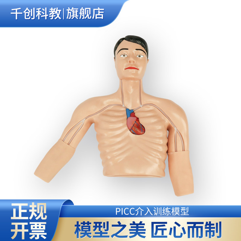 PICC介入训练模型中心静脉穿刺