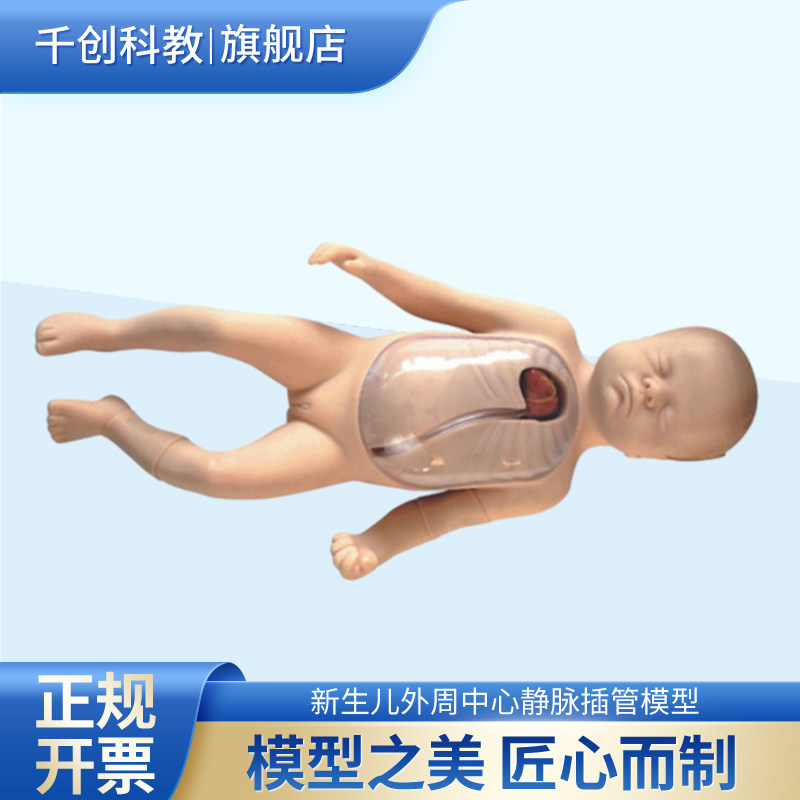 新生儿外周中心静脉插管模型胸壁透明可透视静脉可见心脏肋骨测量导管长度上腔静脉显示位置解剖精准皮肤柔软