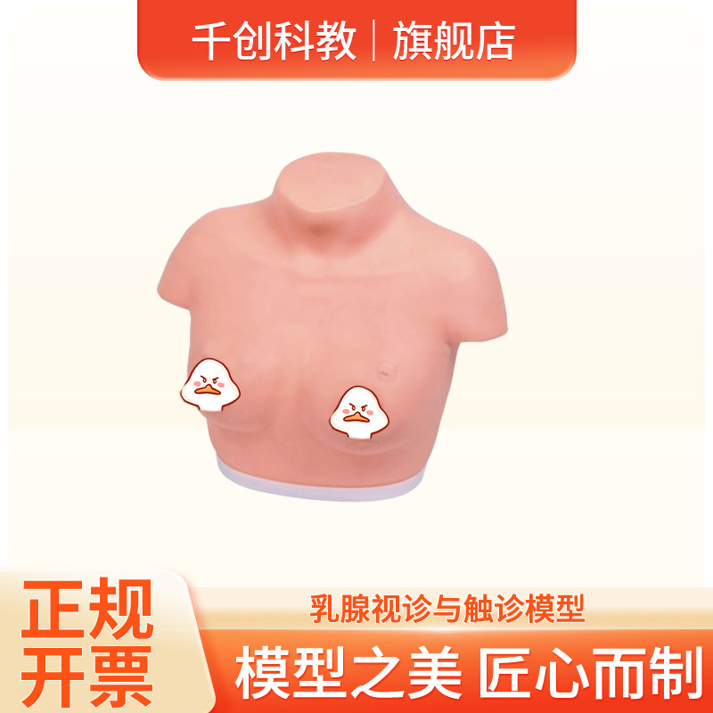 乳腺视诊触诊模型塑胶触感真实恶良性肿瘤腋窝淋巴转移乳头凹陷渗血橘皮样皮肤临床教学自查分区病变教具