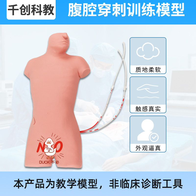 腹部穿刺移动性浊叩诊技能模型