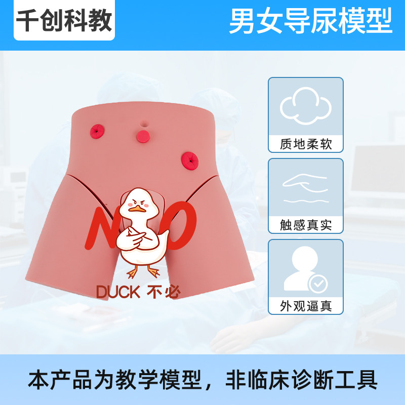男女导尿模型真实尿道狭窄阻力感体位可调外展仿真生殖器可分离解剖结构膀胱括约肌模拟尿液回流医学教具