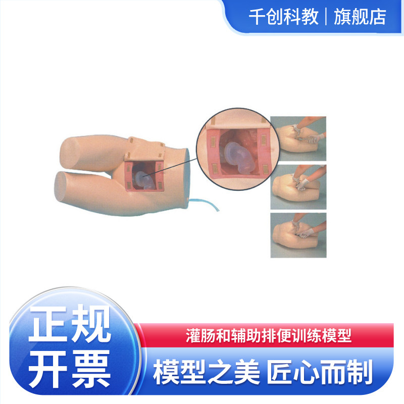 灌肠辅助排便训练模型卧床老年病人仿真可注射甘油腹侧排液腹壁开透明肠观导管放模拟粪便肛门取出手指插入