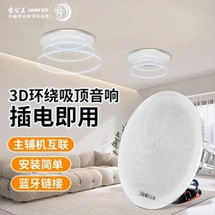 喇叭音乐3D环绕蓝牙吸顶音响家用吊顶嵌入式 601吸顶式 雷公王CR