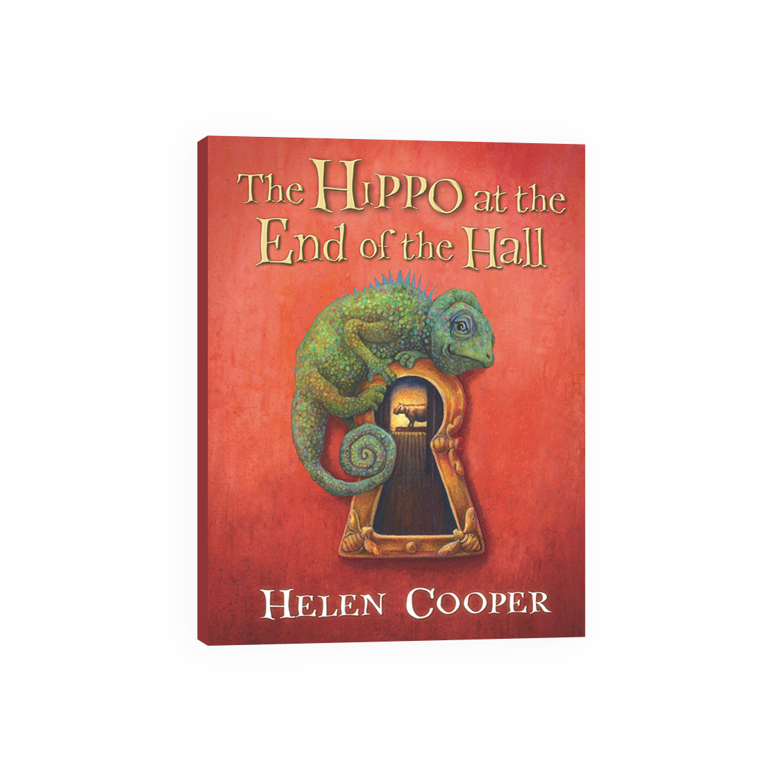 candlewick原版绘本《the hippo at the end of the hall》 平装书 7