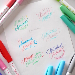 新色 lettering手账英文花体字软头涂鸦 超时软绘笔12色brush
