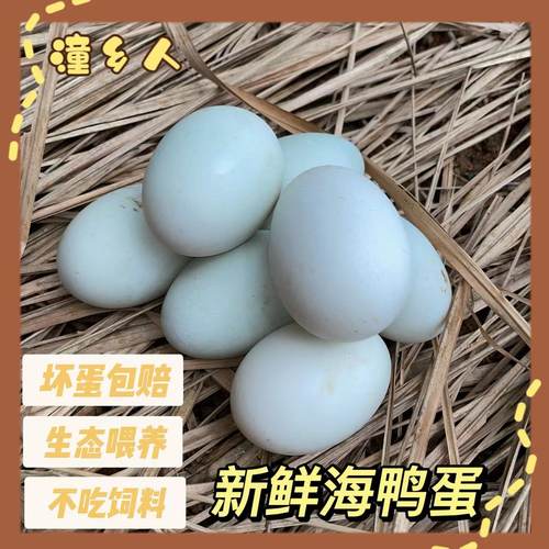 潼乡人海鸭蛋新鲜广西钦州