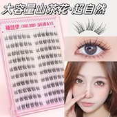 免胶假睫毛2025新款 山茶花仙子款 小太阳花女适合新手超软自然仿真