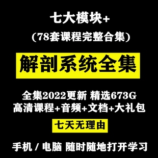 解剖列车课程人体运动功能肌肉系统断层局部艾氏视频全集