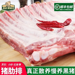 燕赵黑猪肉有机精肋排笨猪肉散养慢养500天正宗跑山猪有机黑猪肉