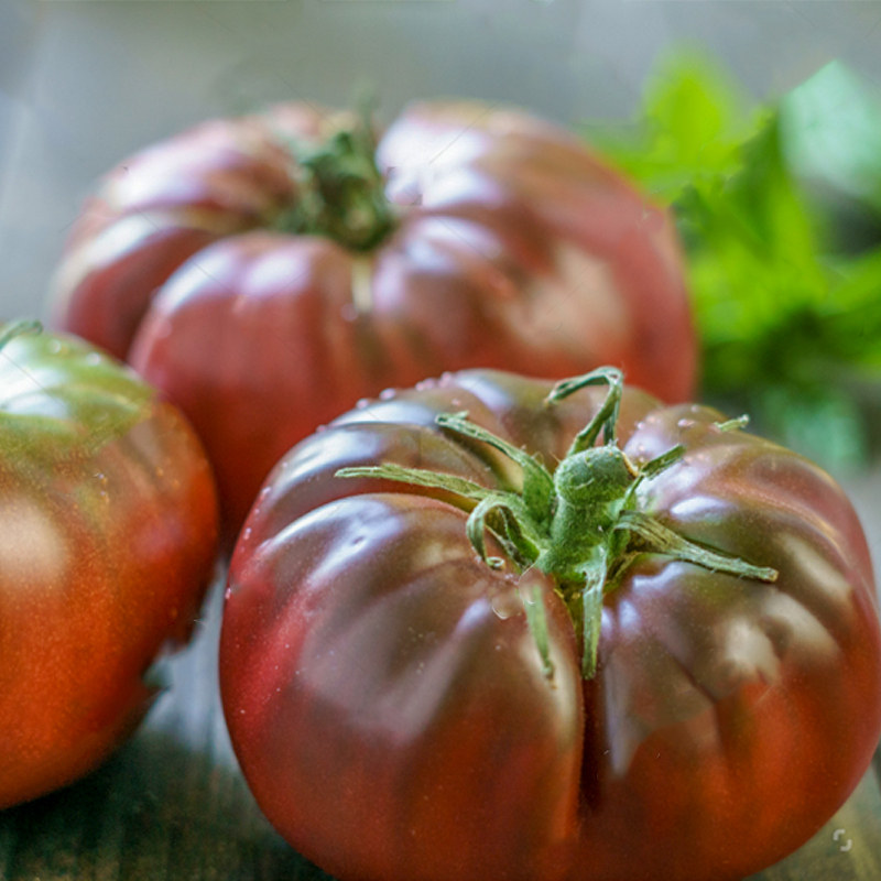 俄罗斯黑牛排番茄四季农家田园阳台盆栽春蔬菜种子传家宝番茄种籽