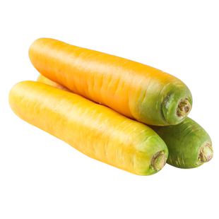 秋季水果胡萝卜种子种籽黄胡萝卜家庭蔬菜孑菜籽子黄胡罗卜种孑籽