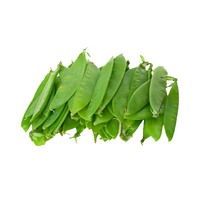 双荚荷兰豆豌豆种子春季