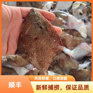 青岛本地鼓眼鱼码头鲜顺丰包邮