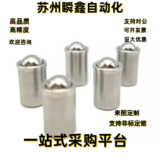 柱塞PFSSN/PFSSR/PFPSN/PFPPN2/3/4/5/6/8/10 ZAL02-D4 D5 D6 D8