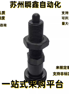 ZAY11/12/13/14-M10/M12/M16/M20分度销 嵌入式精密型 自锁型