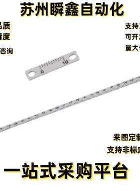 标尺BLP51 52 55 56 61 62 65 66-L20 L100 L200 L250刻度纵向型