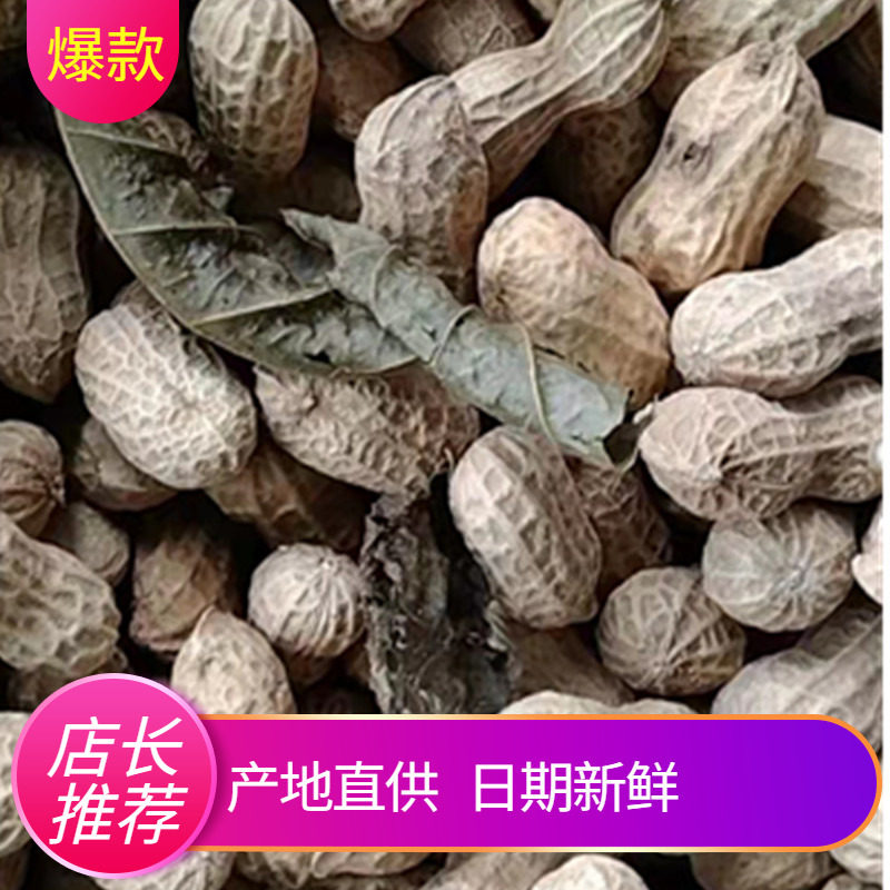 花生黄皮叶水煮咸干白玉肇庆莲塘特产正宗农家散称休闲零食黑脆花