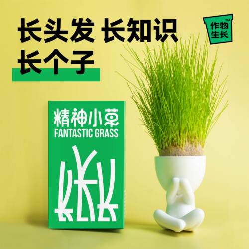 长草娃娃绿植盆栽可爱DIY