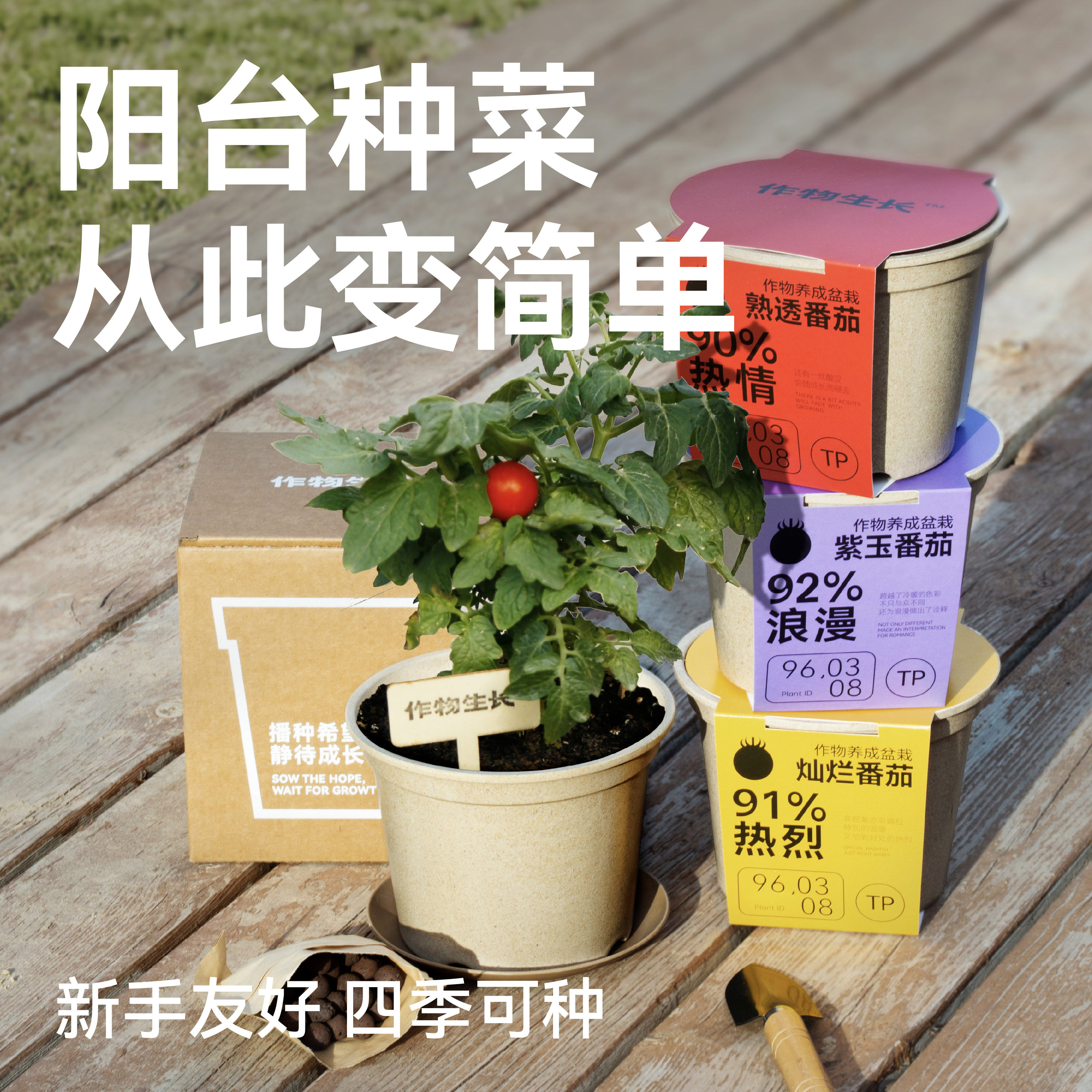 作物生长可食用蔬果种植套装室内种菜盆栽番茄萝卜草莓阳台蔬菜