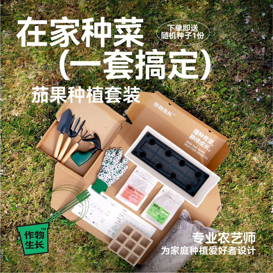 作物生长家庭园艺种植套装可食用有机蔬菜茄果种菜盆工具送种子