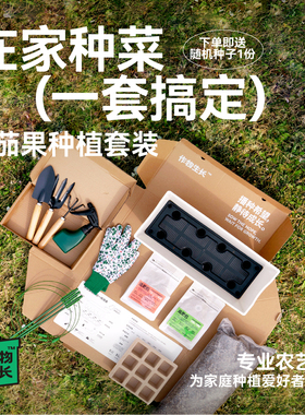 作物生长家庭园艺种植套装可食用有机蔬菜茄果种菜盆工具送种子