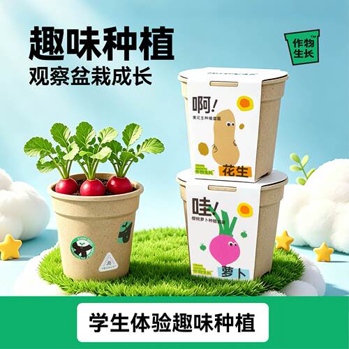【开学季】学生观察盆栽种植体验