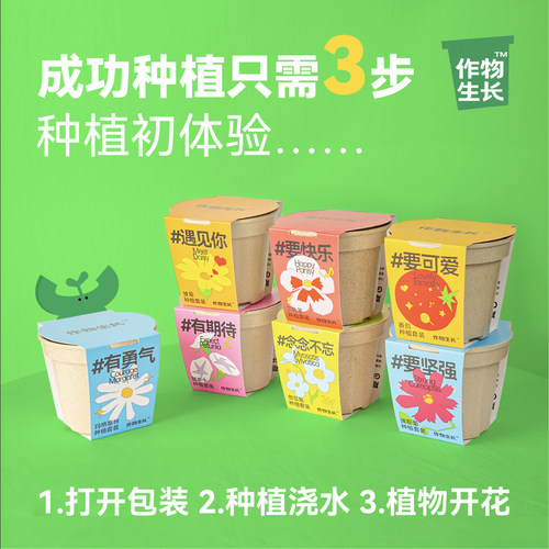 作物生长花儿系列盆栽套装