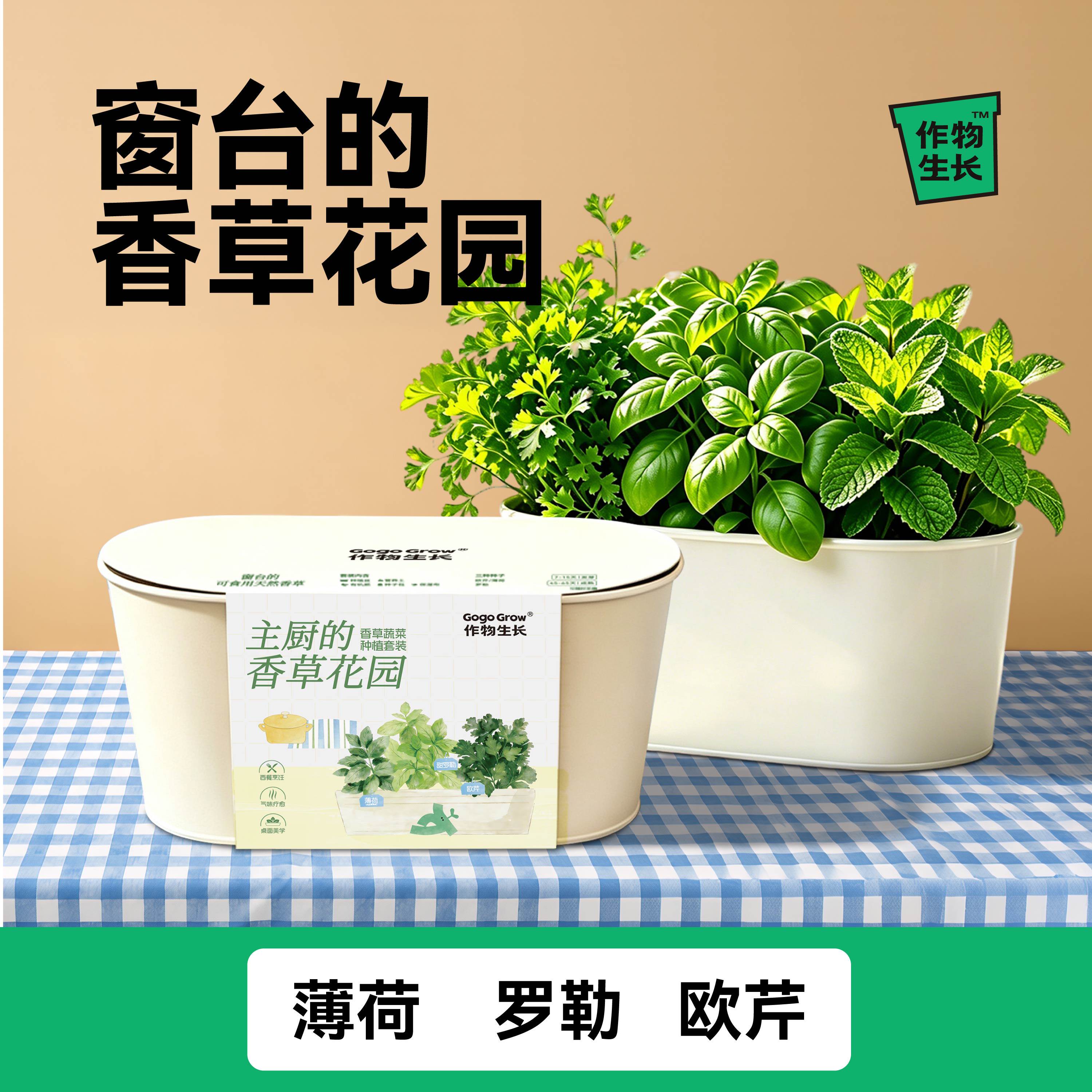 作物生长家庭种植园艺香草蔬菜套装阳台盆栽薄荷办公室工位种菜