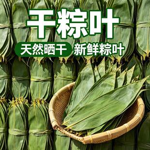 粽叶干粽叶端午节包粽子专用叶子新鲜粽子叶芦苇叶干箬叶送绳教程