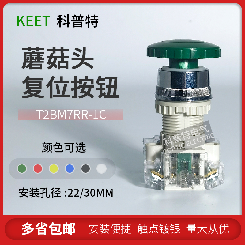 TEND天得蘑菇头自复位T2BMR-1C T3BMRR-1C启动停止按钮开关22mm
