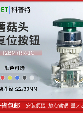 TEND天得蘑菇头自复位T2BMR-1C T3BMRR-1C启动停止按钮开关22mm