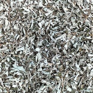 坝子野坝蒿野香苏扫把茶云南中草药凉茶清热泡水煮鸡干品