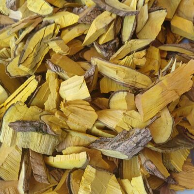 中药材云南十大功劳功劳木土黄黄连猫儿