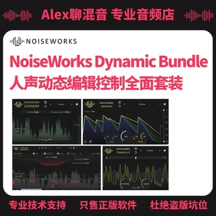 正版NoiseWorks Dynamic Bundle人声动态编辑控制插件-Alex聊混音