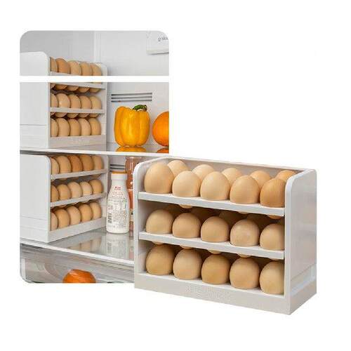 Egg Storage Box Refrigerator Household Eggs Fresh Storage
