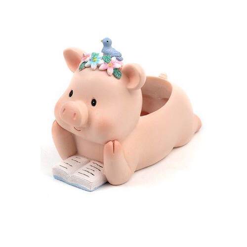 Flower Pot Bonsai Cactus Pig Shaped Office Indoor Outdoor