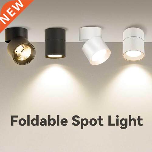 Ceiling Lamp Led Spotlight Downlights Mini Spot Light 220V L