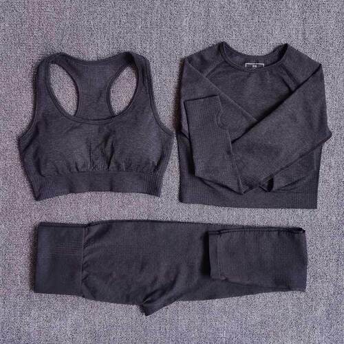 Women Seamless Yoga Set Fitness Sports Suits Gym Clothing Lo