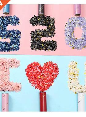 Party Fireworks Cannon Confetti Holding Fireworks Holiday