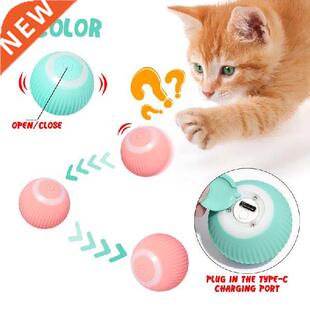 For Kitten Toys Playing Indoor Self Training moving