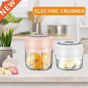 Electric Garlic Masher 100/250ml Mini Chopper Vegetable