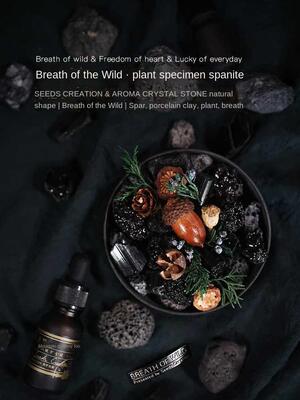 Breath of the Wild Crystal Aromatherapy Natural Plant