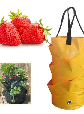 Multi-mouth Garden Planting Bag Strawberry Grow Bag