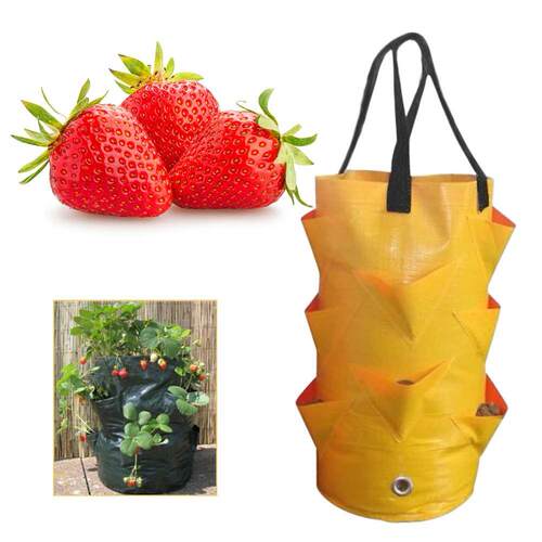 Multi-mouth Garden Planting Bag Strawberry Grow Bag
